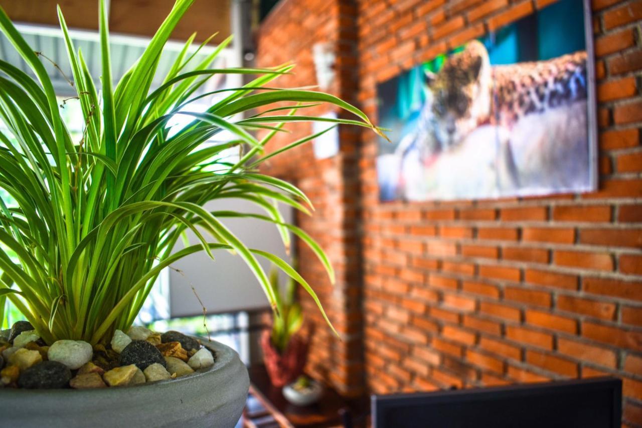 Myr-O Homestay Kombichankulama Exterior foto